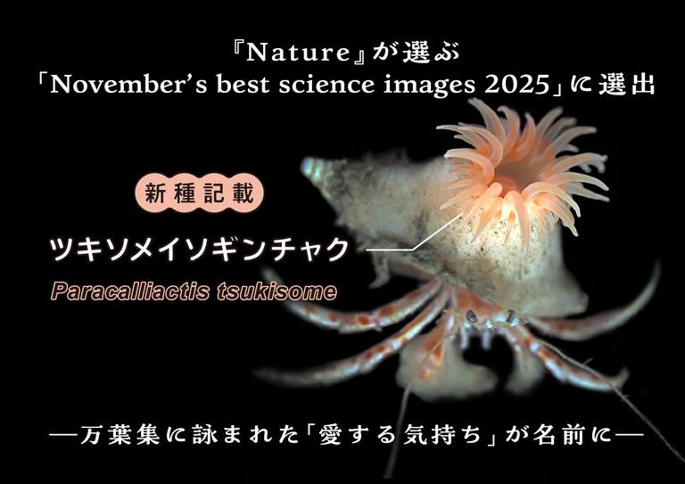 20251225-2.png