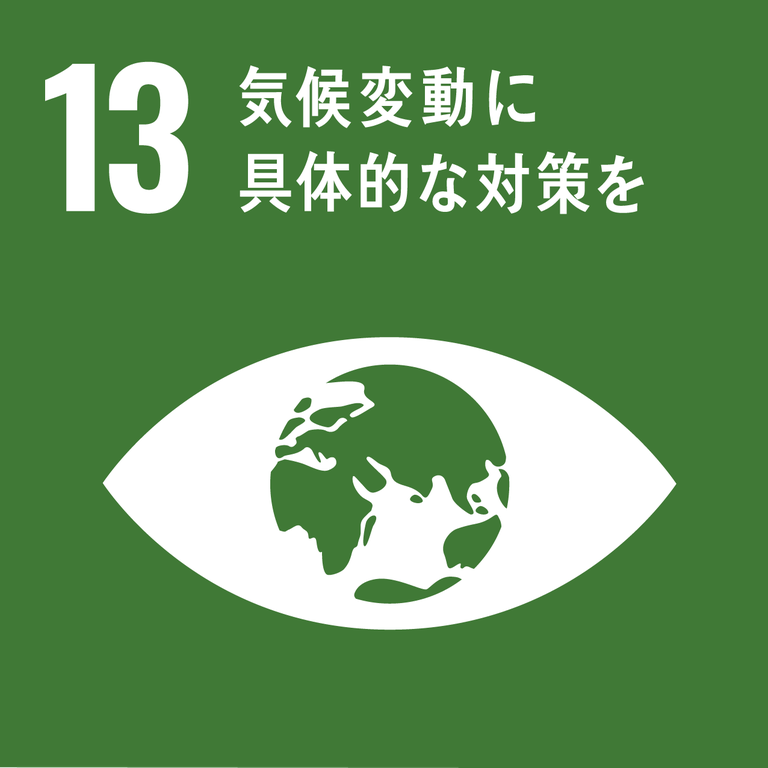 SDG13.png