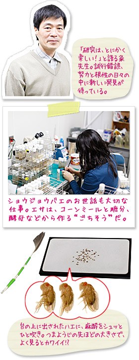 「研究は、とにかく楽しい！」と語る粂先生