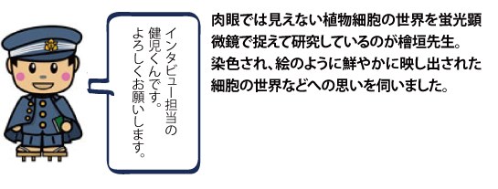 肉眼では見えない植物細胞の世界を蛍光顕微鏡で捉えて研究しているのが檜垣先生。染色され、絵のように鮮やかに映し出された細胞の世界などへの思いを伺いました。