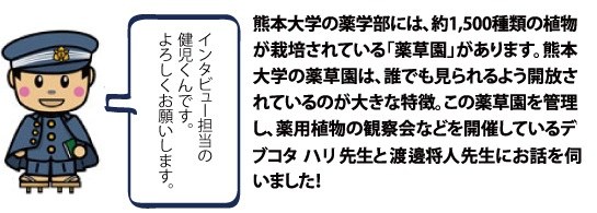 熊本大学の薬学部には、1,500種類の植物が栽培されている「薬草園」があります。熊本大学の薬草園は、誰でも見られるよう開放されているのが大きな特徴。この薬草園を管理し、薬用植物の観察会などを開催している渡邊将人先生とデブコタ　ハリ先生にお話を伺いました！