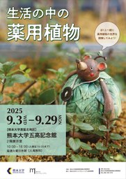トップページ