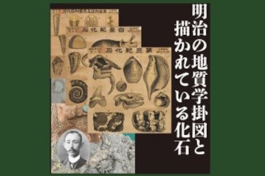 トップページ