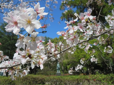 R7_photoart_03_健児の春.jpg R7_photoart_03_健児の春.jpg