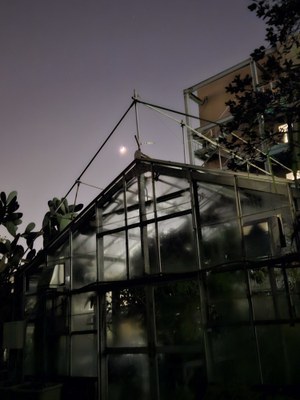 R7_photoart_04_三日月と薬草園のコラボ.jpg R7_photoart_04_三日月と薬草園のコラボ.jpg