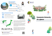 at-a-glance_1.png