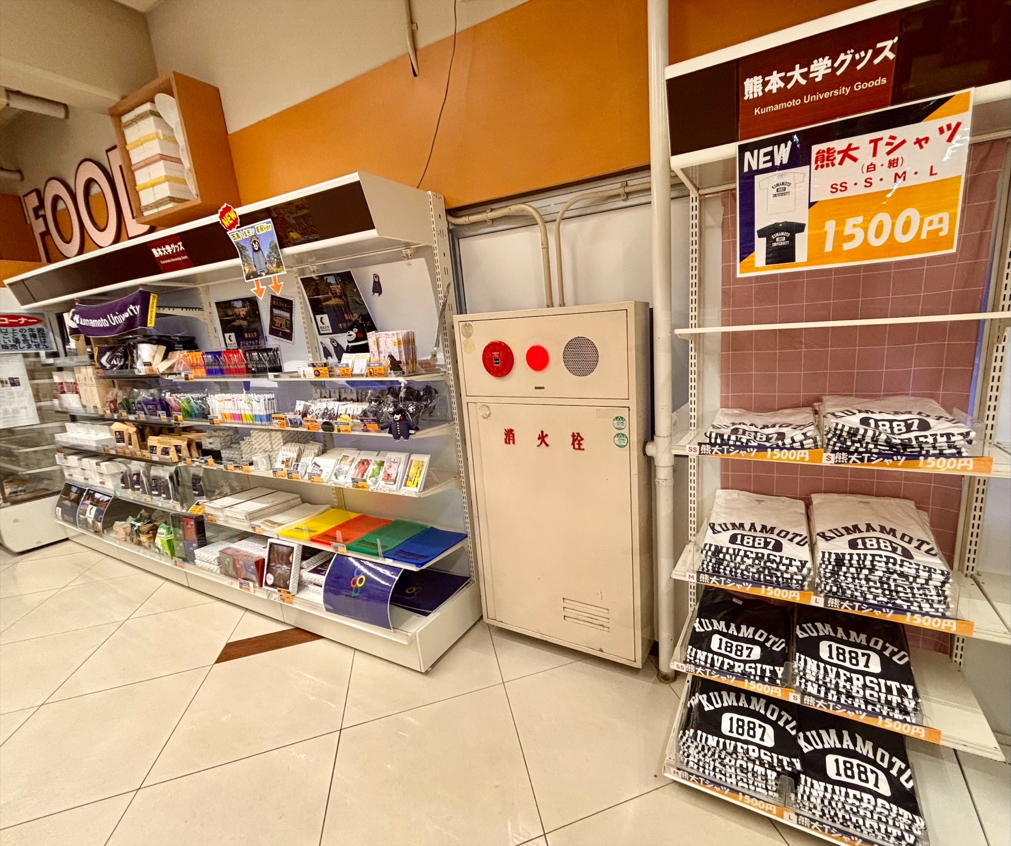 Tシャツ④.jpeg