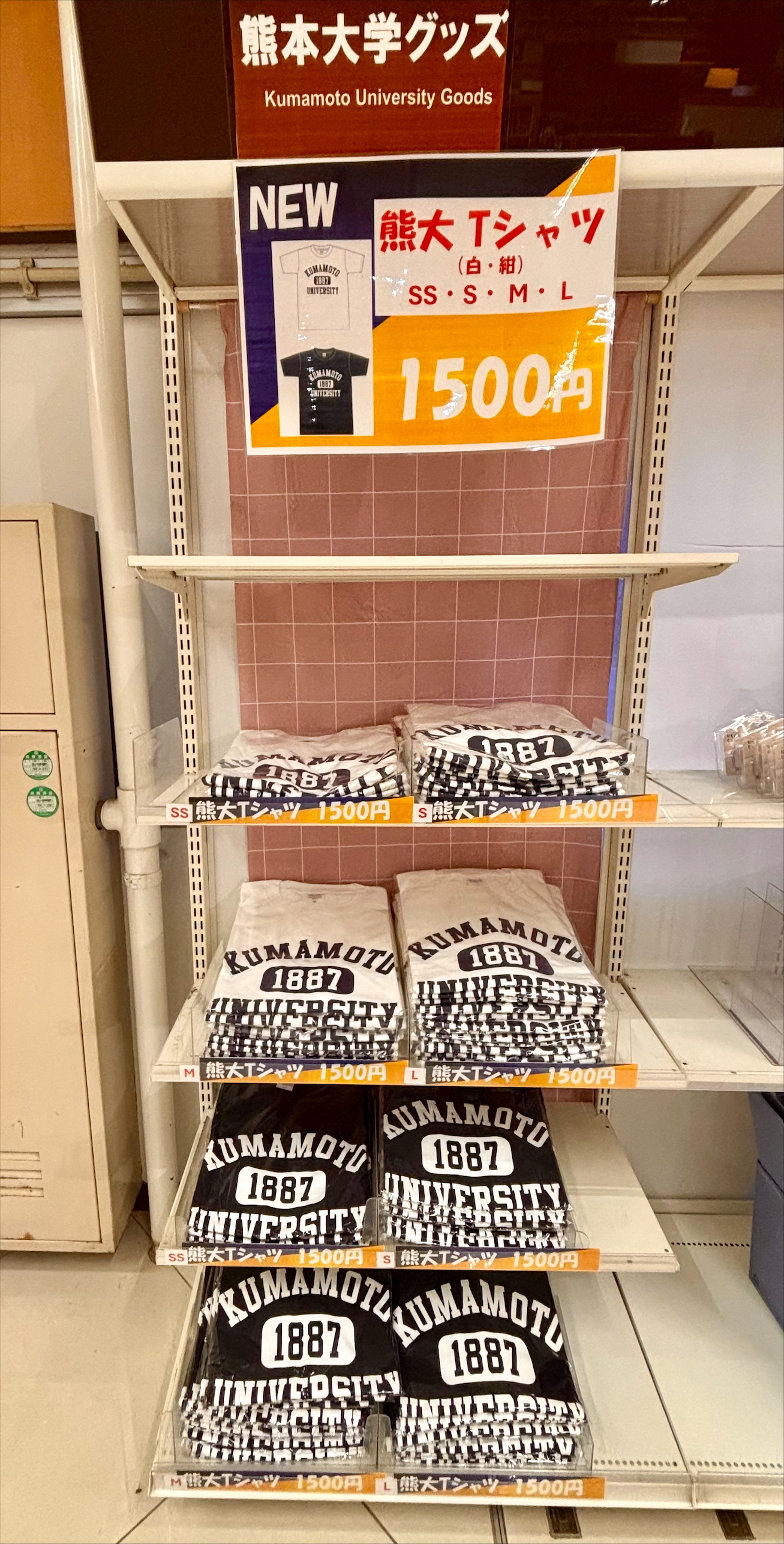 Tシャツ③.jpeg