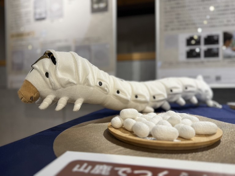 251115_6.jpg 251115_6.jpg