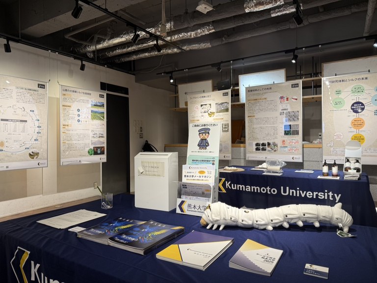 251115_7.jpg 251115_7.jpg