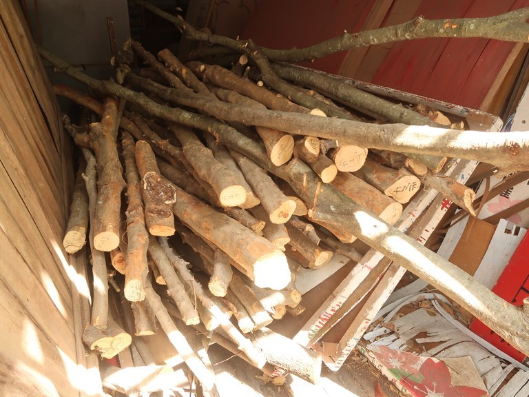 260209（廃木材）.jpeg