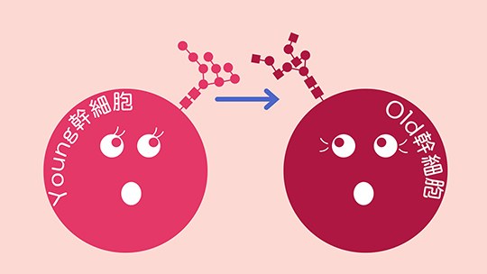 お知らせ[研究]