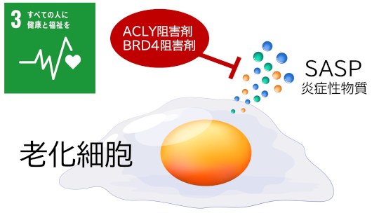お知らせ[研究]