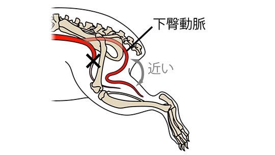 お知らせ[研究]