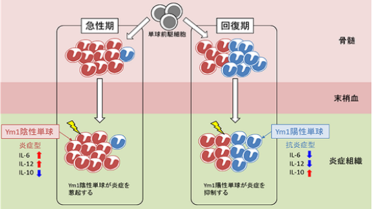 2018年度