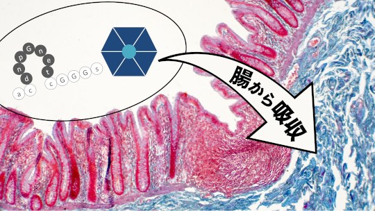 お知らせ[研究]