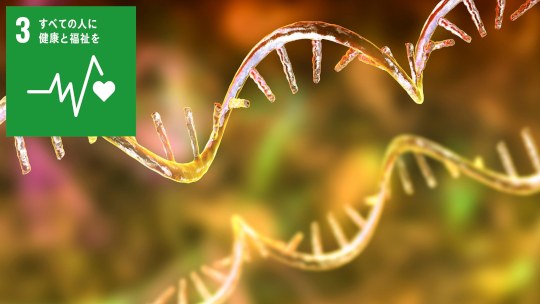 お知らせ[研究]