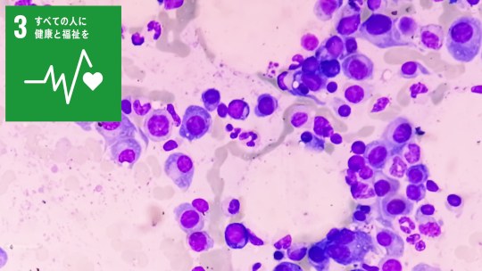 お知らせ[研究]