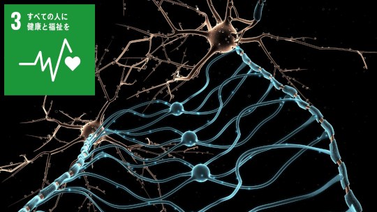 お知らせ[研究]