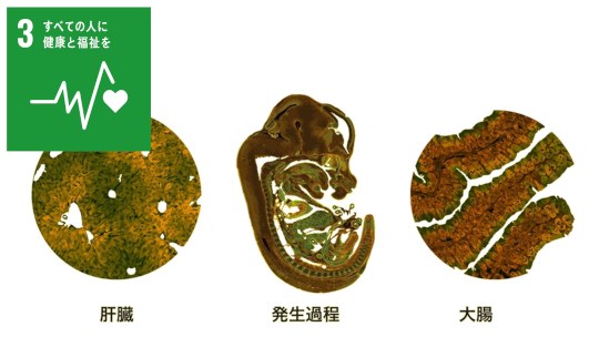 お知らせ[研究]