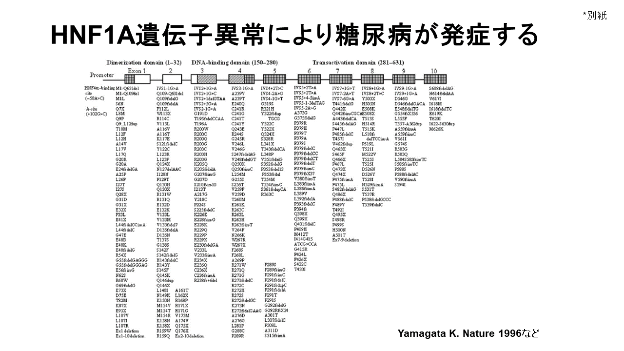 ハーゲドーン賞プレス図.png