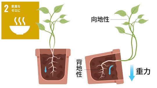 お知らせ[研究]