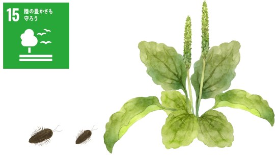 お知らせ[研究]