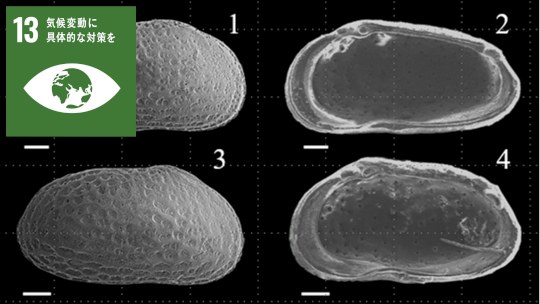 お知らせ[研究]