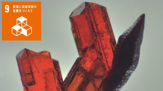 お知らせ[研究]